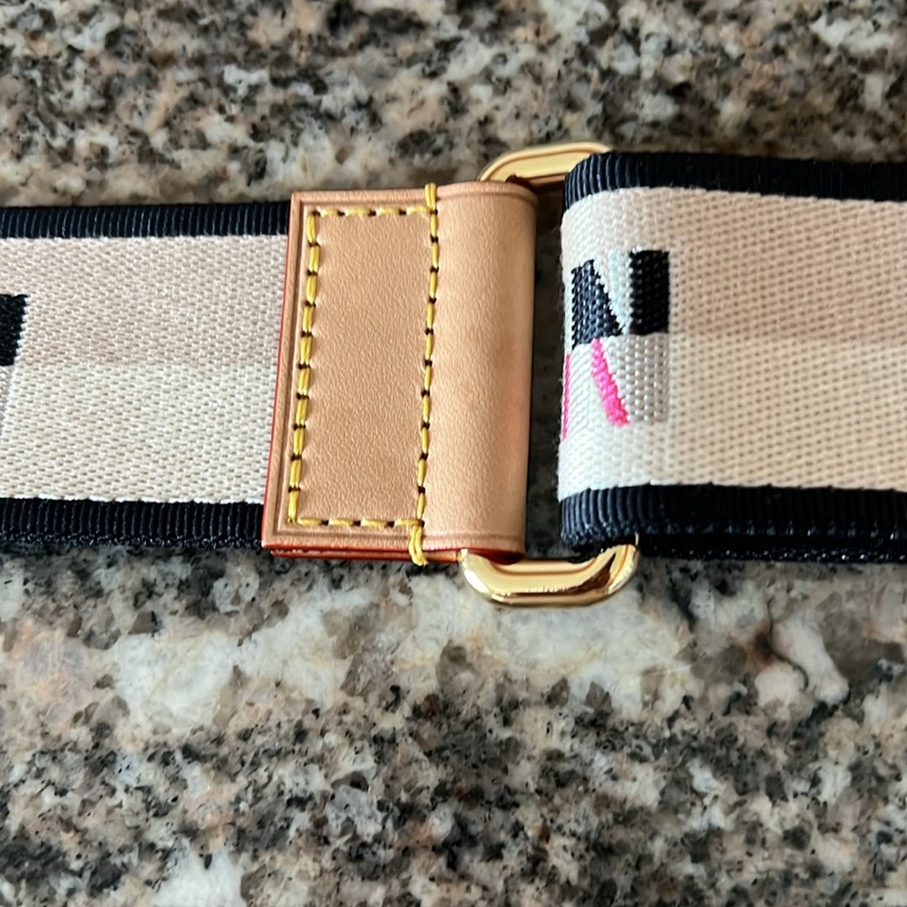 Louis Vuitton Bandouliere Speedy 20 Jacquard Shouder Strap - Picture 10 of 15